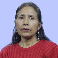 López Villarroel Rina